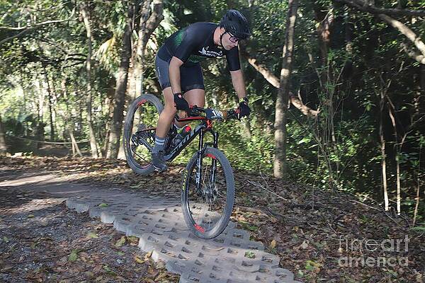 Mountain Biker on Forest Trail Wall Art