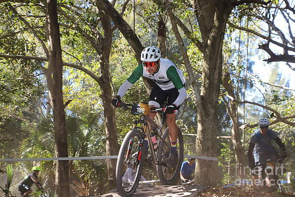 Mountain Biking in Forest Trail Wall Art