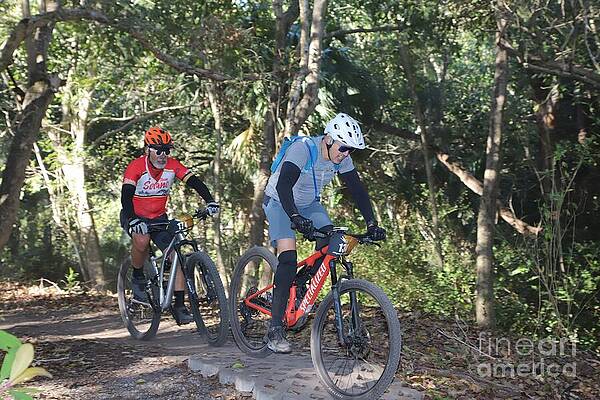 Mountain Biking in Nature Wall Art