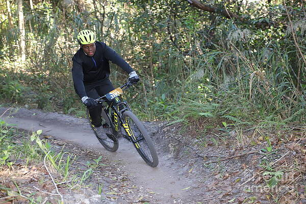 Mountain Biking in the Forest Wall Art