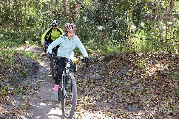 Mountain Biking Through Forest Trail Wall Art