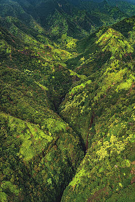 Paradise Photograph - Mountain Jungle - Kauai, Hawaii - Vertical by Abbie Warnock