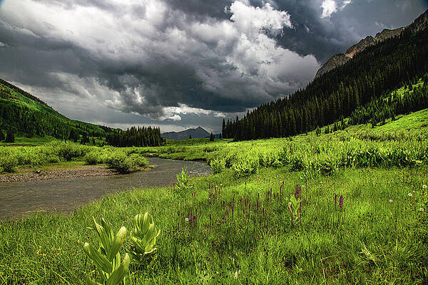 Sky Photograph - Mountain Meadow by Jon Snyder