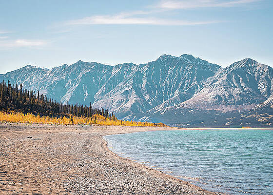 Mountain Range At Destruction Bay In Yukon Canada Print