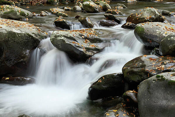 Fall Wall Art featuring the photograph Mountain Stream In Autumn by Michael Collins