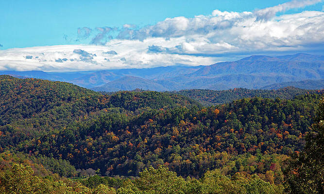 Wall Art featuring the photograph Mountain Sunshine by Gina Fitzhugh