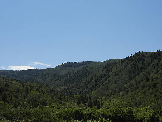 Colorado Wall Art featuring the photograph Mountain Valley 2 by Amanda R Wright