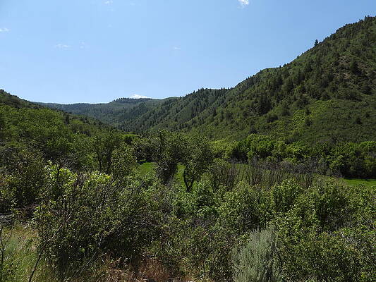 Colorado Wall Art featuring the photograph Mountain Valley by Amanda R Wright
