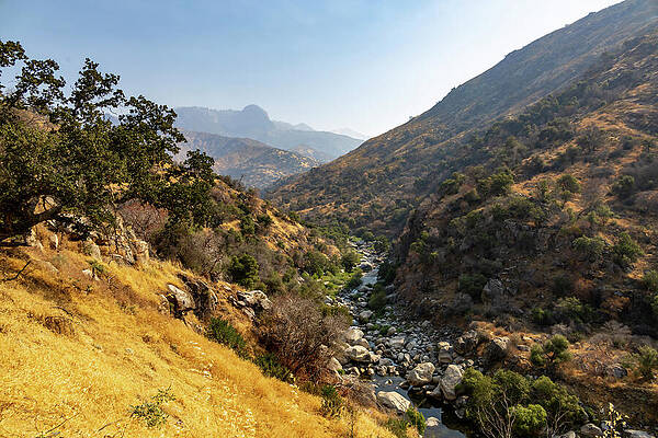 California Photograph - Mountainous Landscape At Sequoia National Park 2 by John Twynam