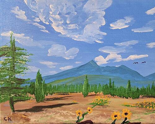 Chance Kafka Arizona Paintings Wall Art