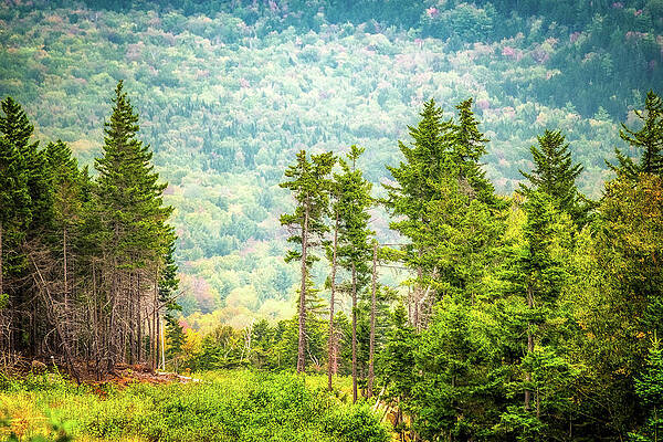 Wall Art featuring the photograph Mountainside by Jeff Sinon