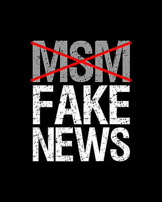 New Digital Art - Msm Is Fake News by Flippin Sweet Gear
