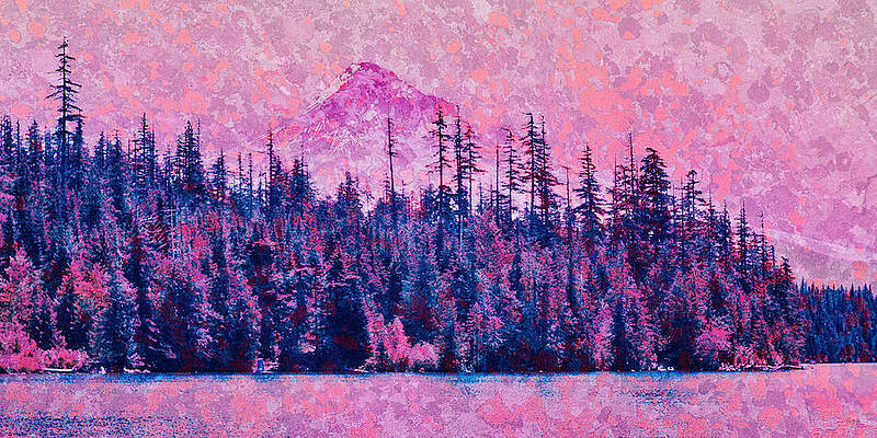 Wall Art featuring the photograph Mt. Hood And Lost Lake - Lichen Texture by Bruce Block