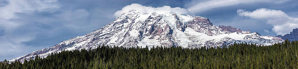 Wall Art featuring the photograph Mt Rainier Panorama by Mary Jo Allen