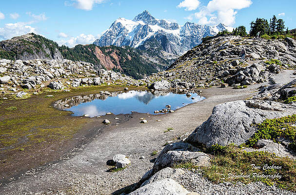 September Photograph - Mt Shuksan Reflected by Tom Cochran