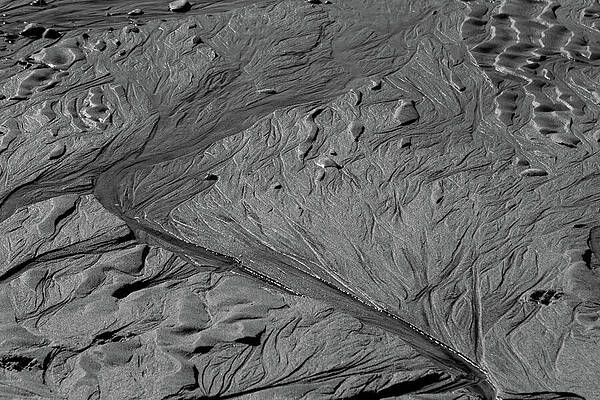 Wall Art featuring the photograph Mud Flat by Steven David Roberts