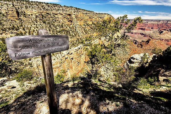 Desert Photograph - Mule Train Sign On Bright Angel Trail by Craig A Walker