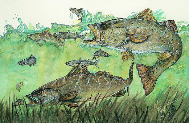 Underwater Trout Encounter Wall Art