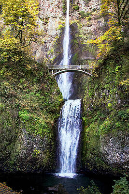 Waterfall Photograph - Multnomah Falls 3 by Barbara Siegel