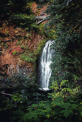 Majestic Waterfall Beneath a Bridge Wall Art