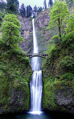 Multnomah Falls in Spring Green by Carl Prothman