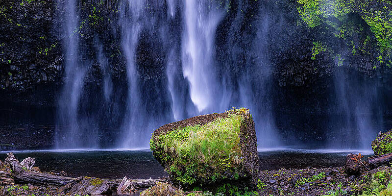 Wall Art featuring the photograph Multnomah Falls Oregon by Tommy Farnsworth