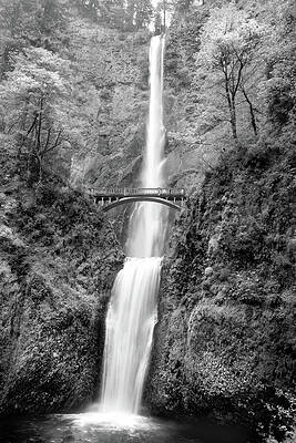 Wall Art featuring the photograph Multnomah Falls by Steven David Roberts