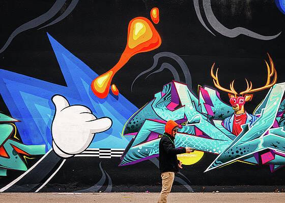 Wall Art featuring the photograph Mural - Deer With Antlers by Robert Niemeier