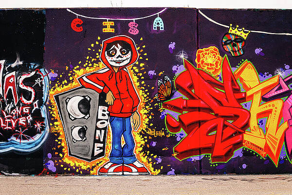 Wall Art featuring the photograph Mural Mile - Bone by Robert Niemeier