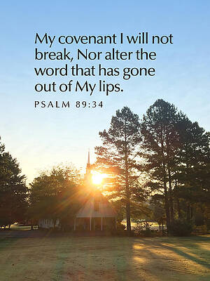 Love Photograph - My Covenant by Greg Lane