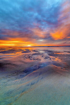 Photograph - My Favorite Color Is Sunrise by Penny Polakoff