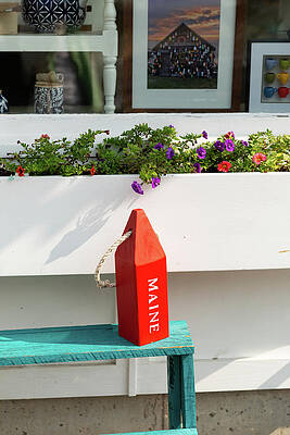 Maine Wall Art featuring the photograph My Maine Buoy by Donna Twiford