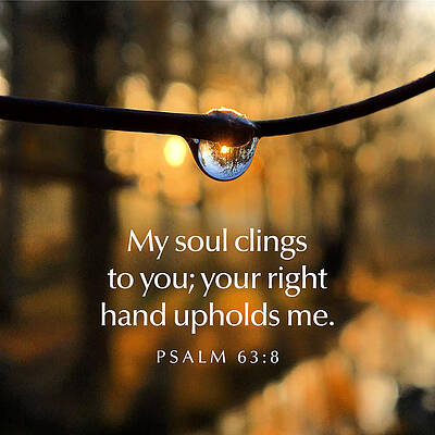 Southern Wall Art featuring the photograph My Soul Clings To You by Greg Lane