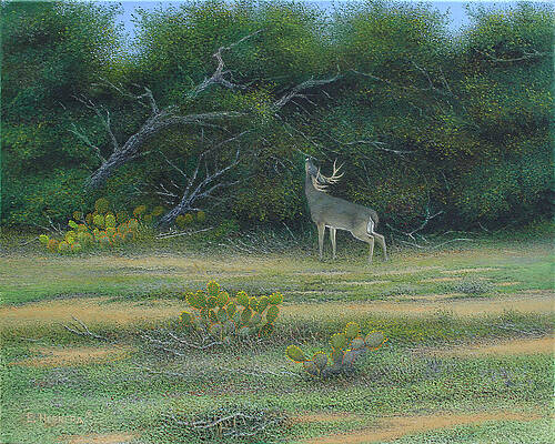 Wall Art featuring the painting My Territory by Eleazar Herrera
