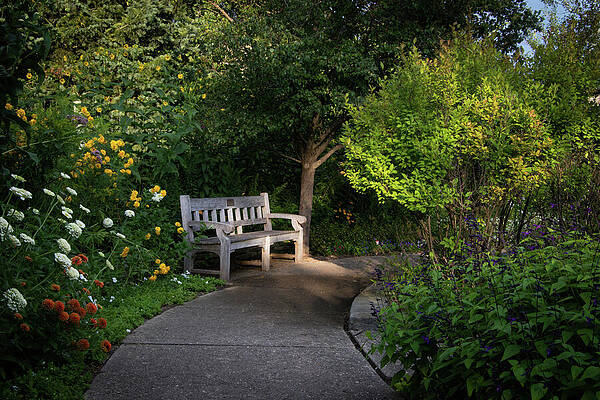 Nature Photograph - My Zen Retreat by Deb Beausoleil