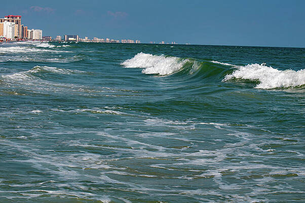 Wall Art featuring the photograph Myrtle Beach 11 by Flees Photos
