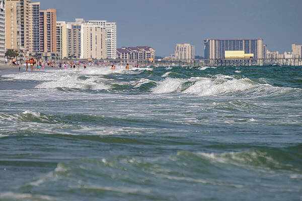 Wall Art featuring the photograph Myrtle Beach 12 by Flees Photos