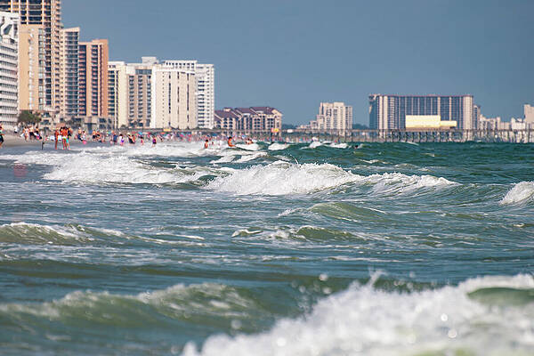 Wall Art featuring the photograph Myrtle Beach 14 by Flees Photos