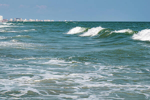Wall Art featuring the photograph Myrtle Beach 15 by Flees Photos