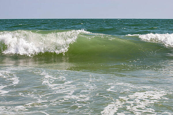 Wall Art featuring the photograph Myrtle Beach 16 by Flees Photos