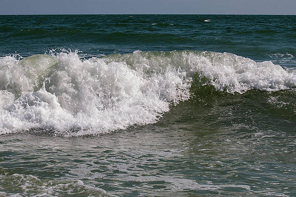 Wall Art featuring the photograph Myrtle Beach 17 by Flees Photos