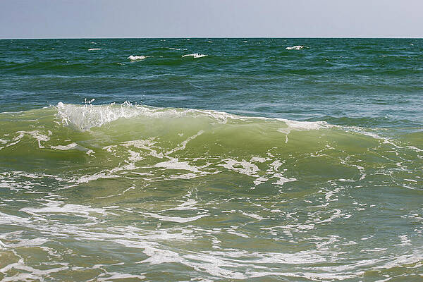 Wall Art featuring the photograph Myrtle Beach 18 by Flees Photos