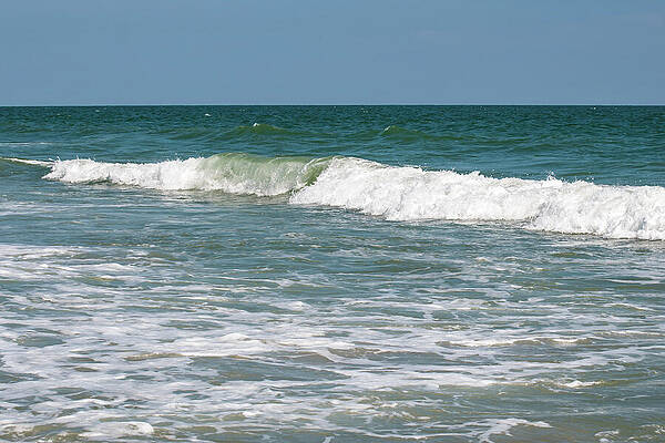 Wall Art featuring the photograph Myrtle Beach 19 by Flees Photos