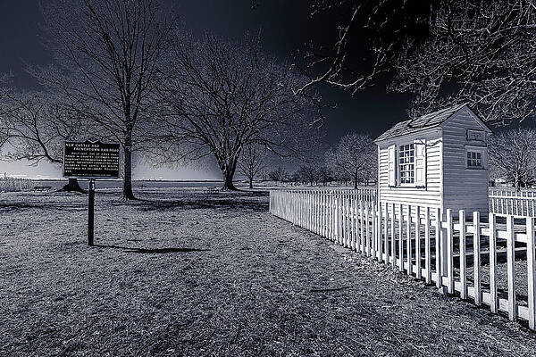 Wall Art featuring the photograph Mysterious by Penny Polakoff