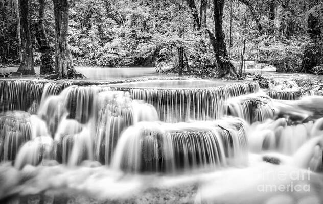 Wall Art featuring the photograph Mystic Waterfall Cascade In Forest Black And White by Stefano Senise