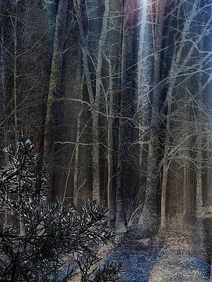 Nature Wall Art featuring the digital art Mystic Wood by Gina Harrison
