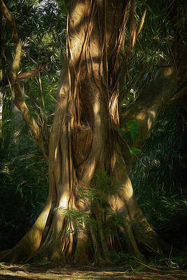 Nature Wall Art featuring the photograph Mystical Tree by Dodie Ross