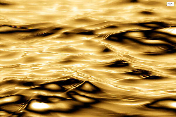 Wall Art featuring the photograph Nan- Golden Waves by Alex John Bergerman