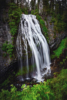 United States Wall Art featuring the photograph Narada Falls, Washington State - Vertical by Abbie Warnock