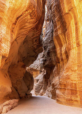 Majestic Sandstone Canyon Pathway Wall Art